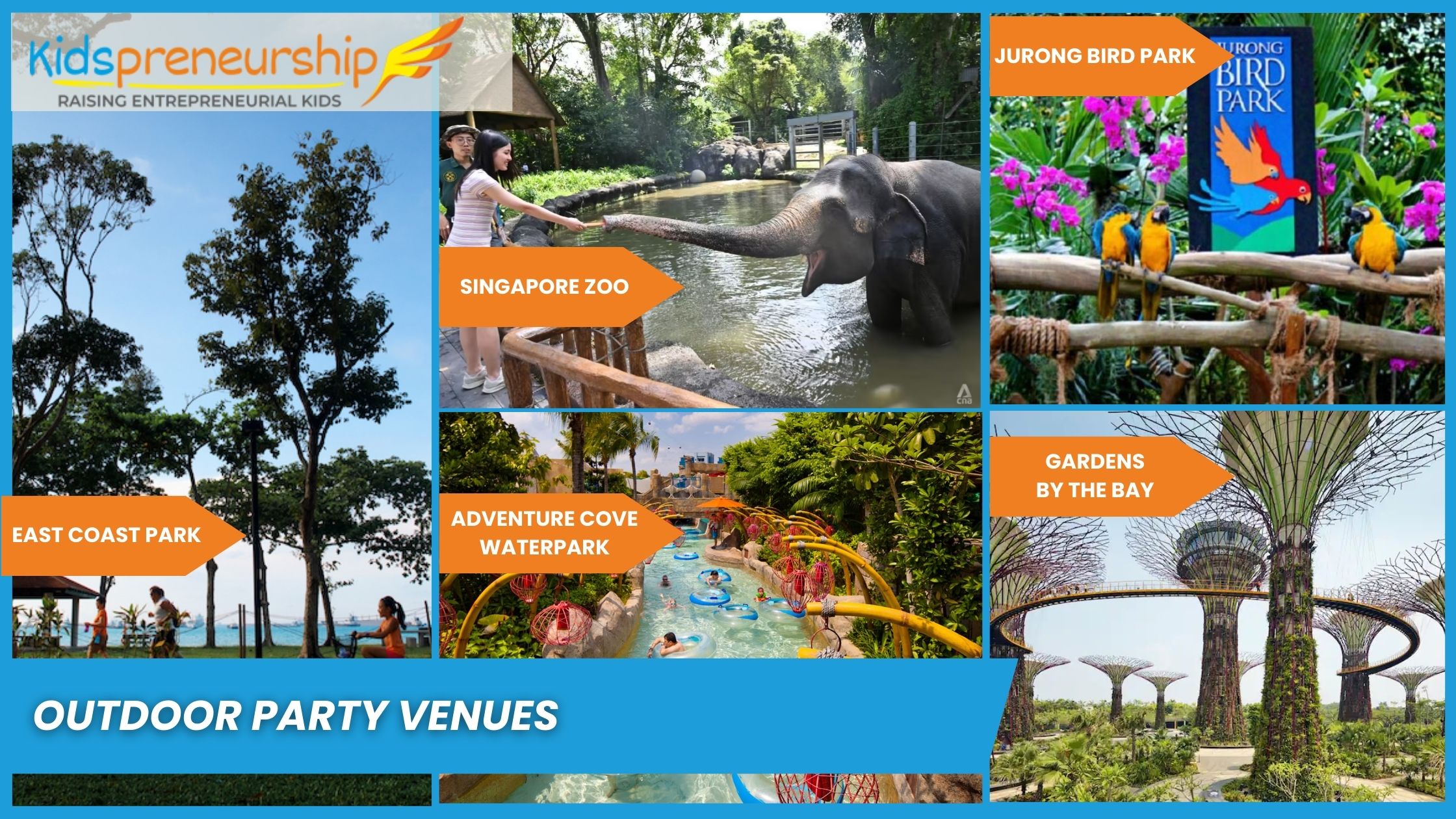 40+ Best Kids Birthday Party Venues in Singapore 361